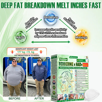 Sparklyra® Moringa &Berberine x NAD+ 10-in-1 Advanced Nano-Micro-needle Patch👩‍⚕️  (Just once a day, visible results in 7 days)  ✅ For obesity, sagging skin, diabetes and more.